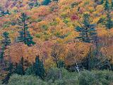 Crawford Notch 004